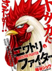 Rooster Fighter